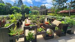 Wandervale (D23), Condominium #592518591